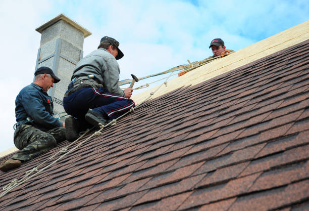 Roof Gutter Cleaning in Ridgetop, TN